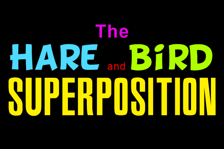 Superposition