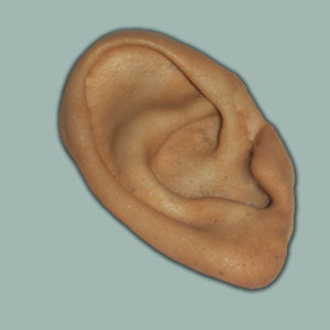 Foam Right Ear