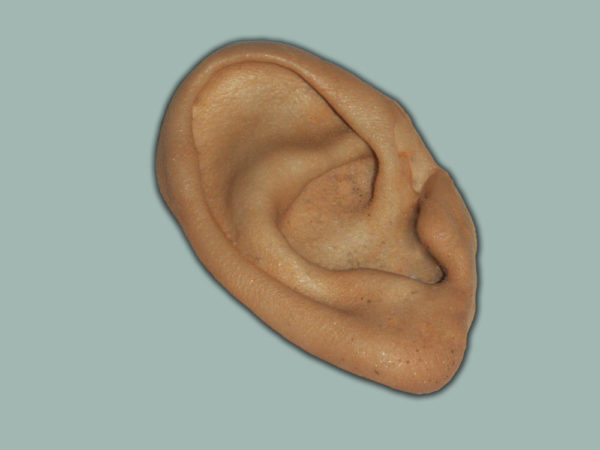 Foam Right Ear