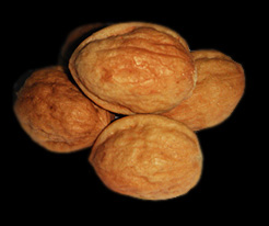 foam walnuts