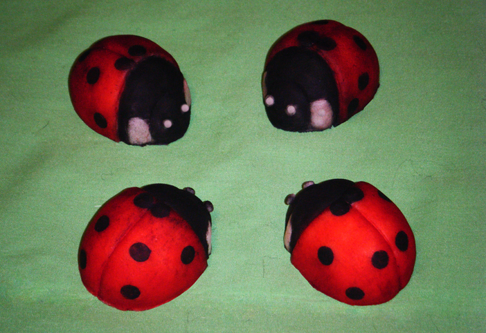 ladybugs