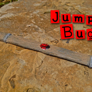 Jump Bug