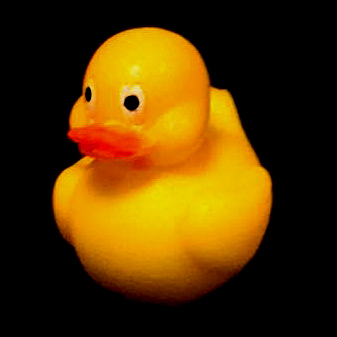 Rubber Ducks